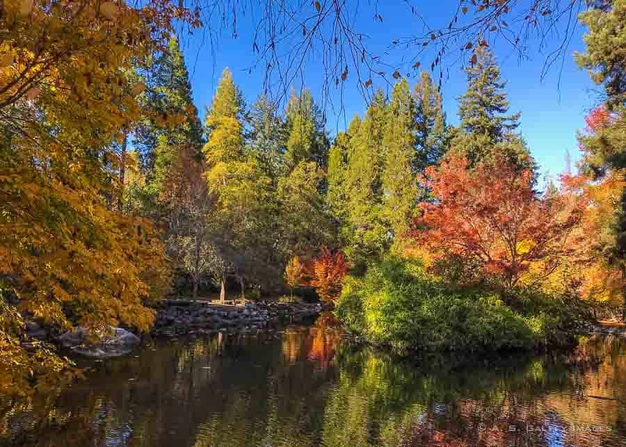 Fall foliage in Southern Oregon