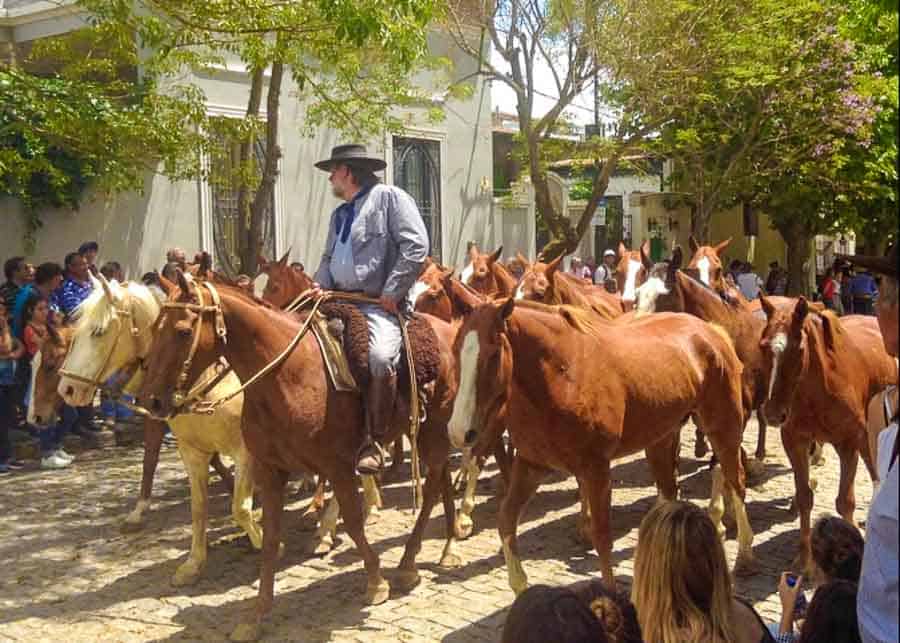 Day trip to San Antonio de Areco from Buenos Aires