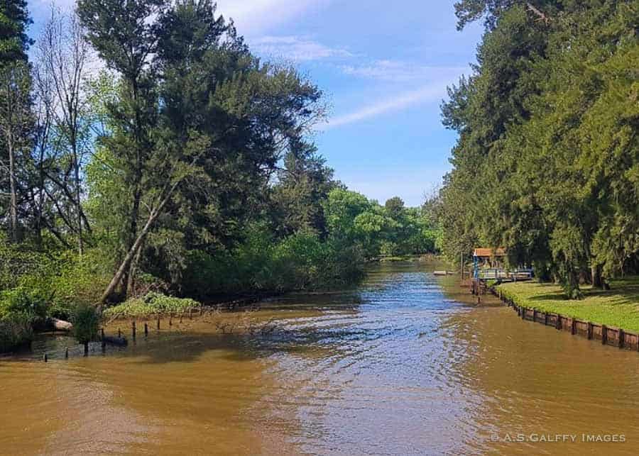 Visiting the Parana Delta on a trip from Buenos Aires