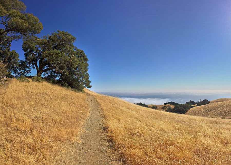 Hiking trail in marine Headlands