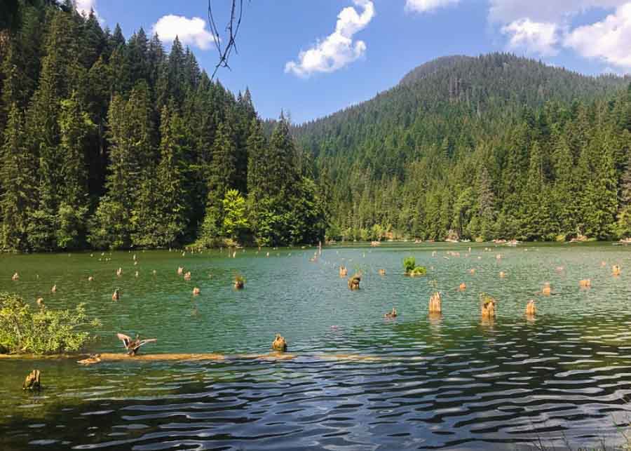 Lacul Rosu, one of the best places to visit in Romania