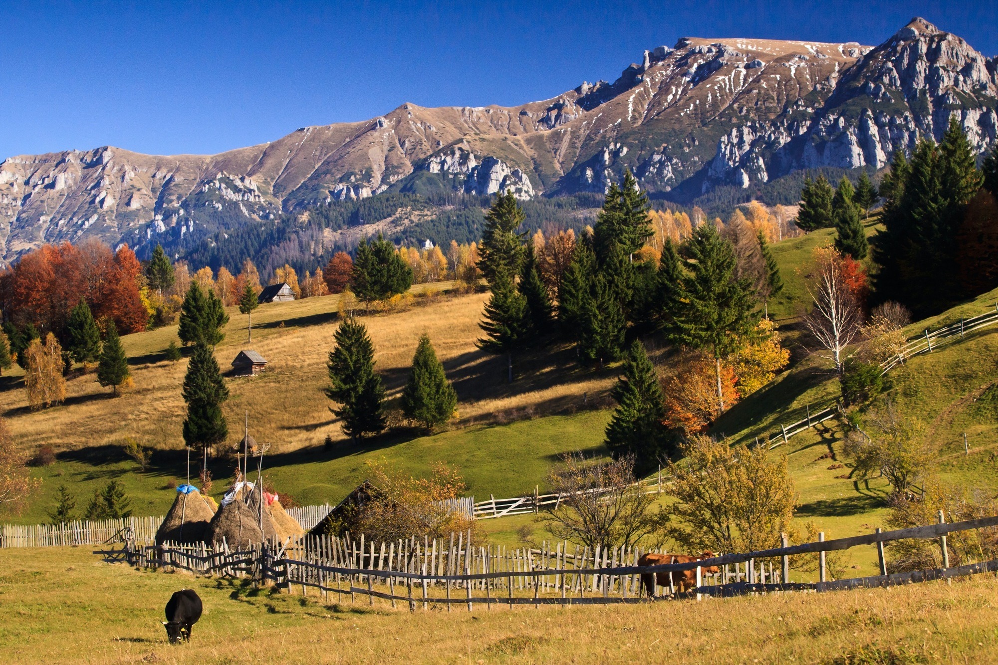 Fun and interesting facts about romania you probably didn t know