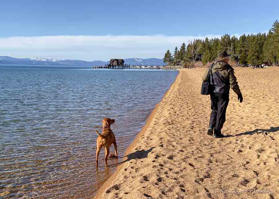 Nevada Beach