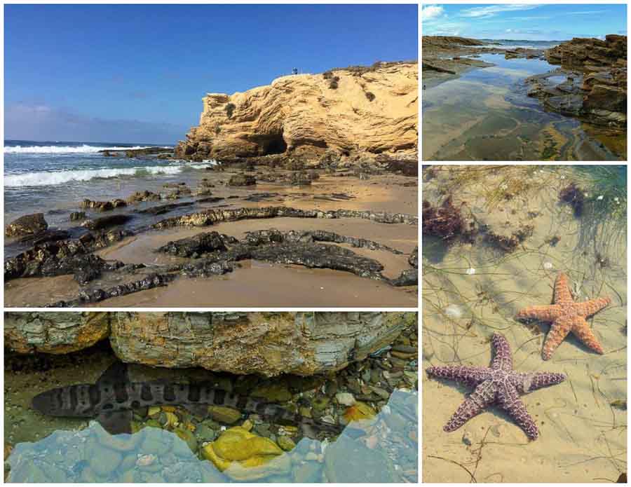 Tide pools at Crystal Cove State Park