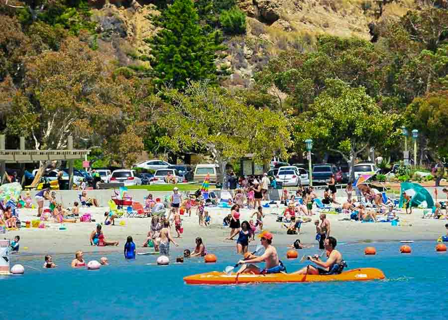 people swimming and rowing at Dana Point Harbor Beach