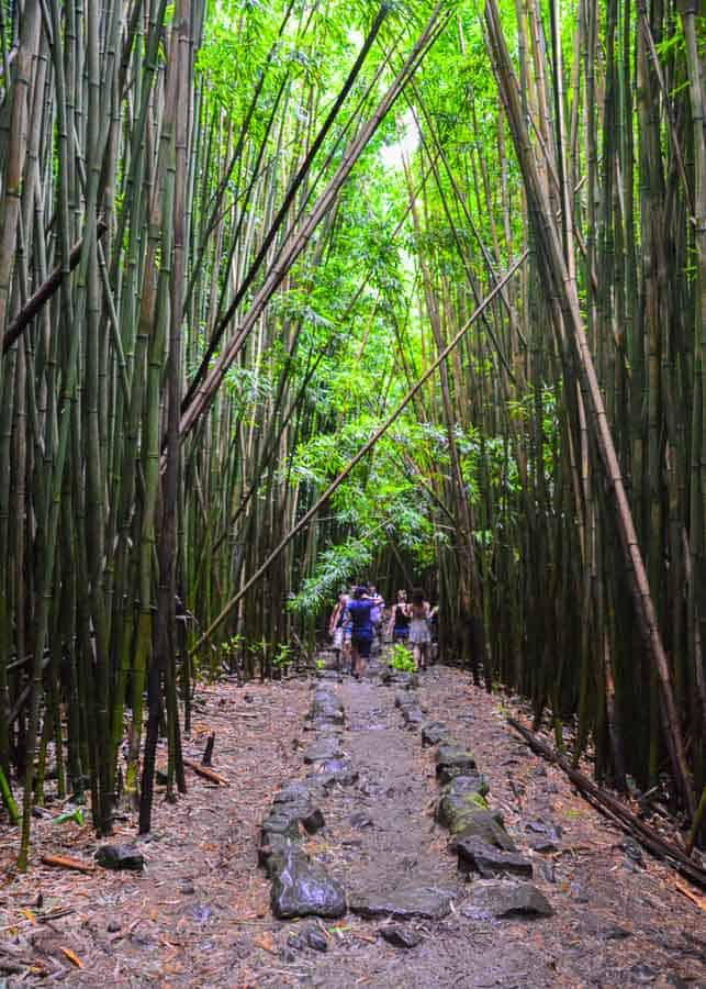 Pipiwai hiking Trail in Maui