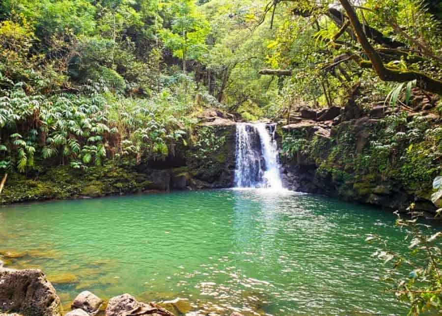 view of the Twin Falls, the second stop on the Road to Hana itinerary