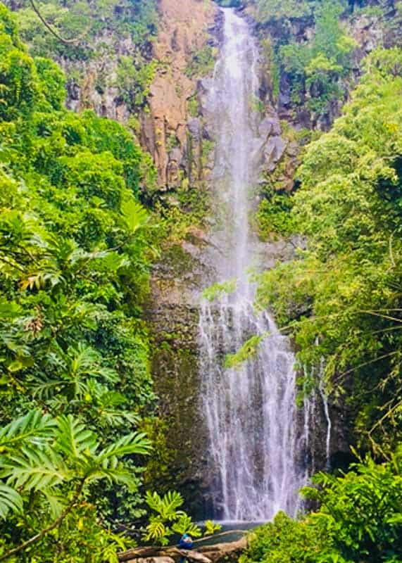 View of the Wailua Falls from the Road to Hana