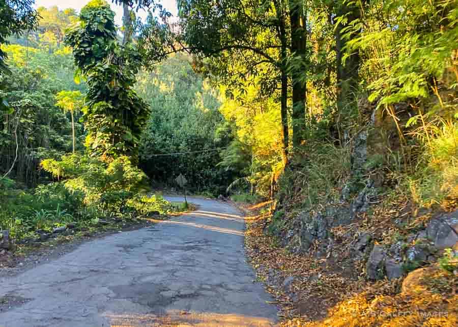 Back road to Hana