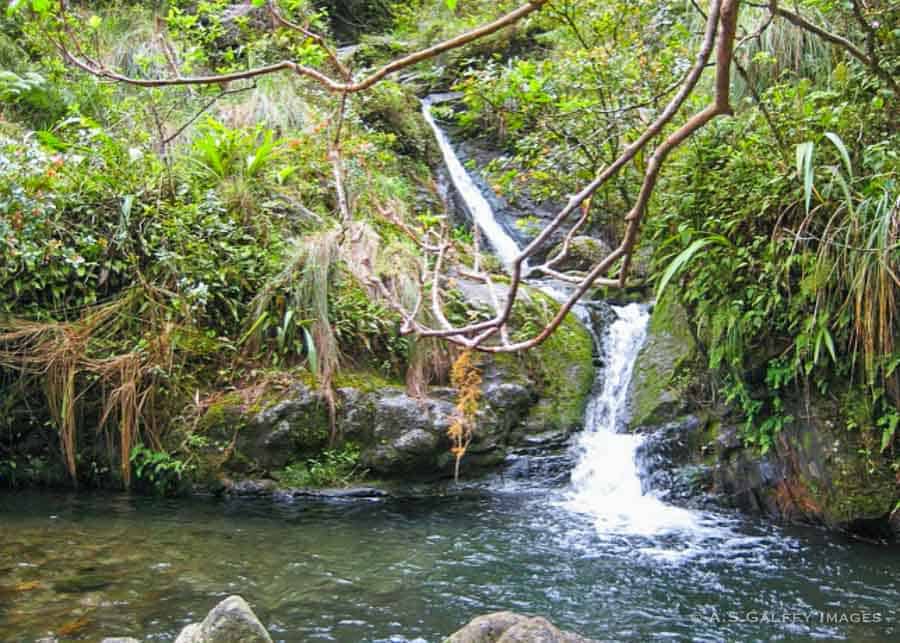 Stream on the Hanakapiai Falls hiking trail