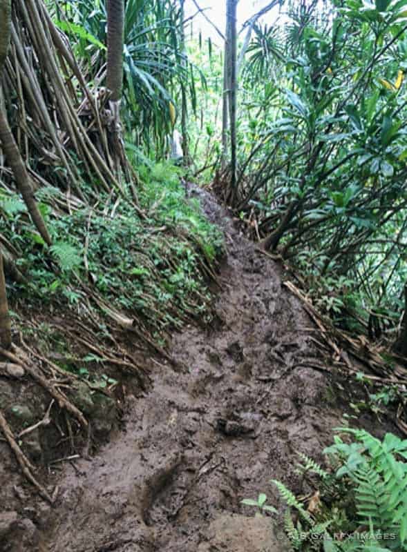 Hike to Hanakapiai Falls