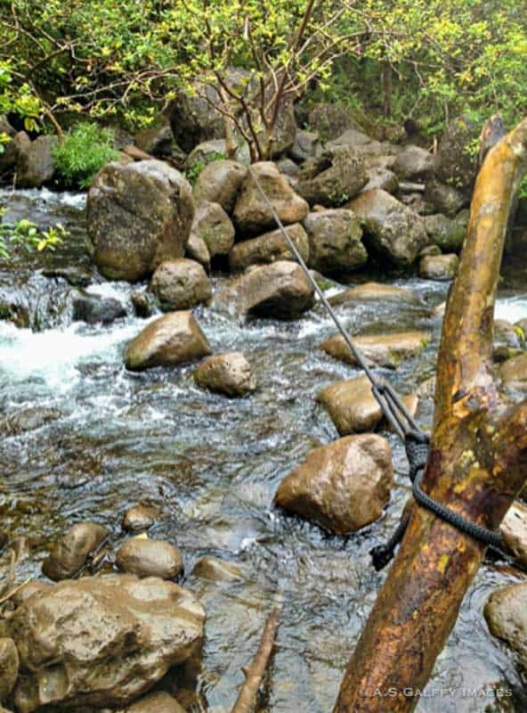 Stream crossing on the Hanakapiai Falls Trail