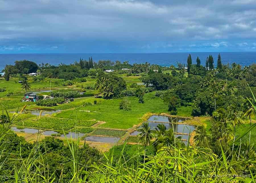 Wailua Overlook