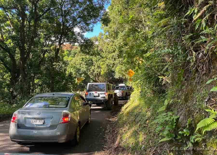 Cars on the Hana Road