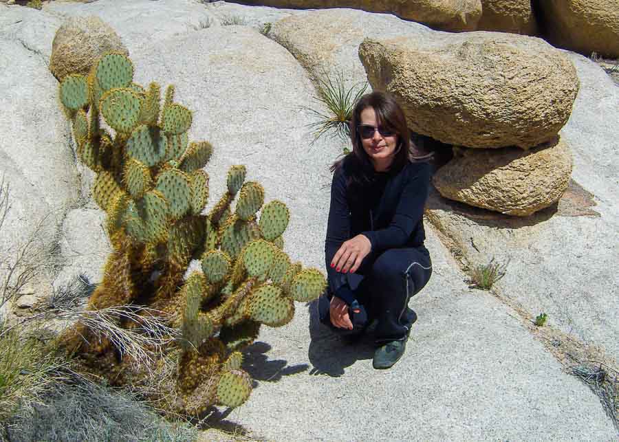 Hiking in Joshua Tree Park