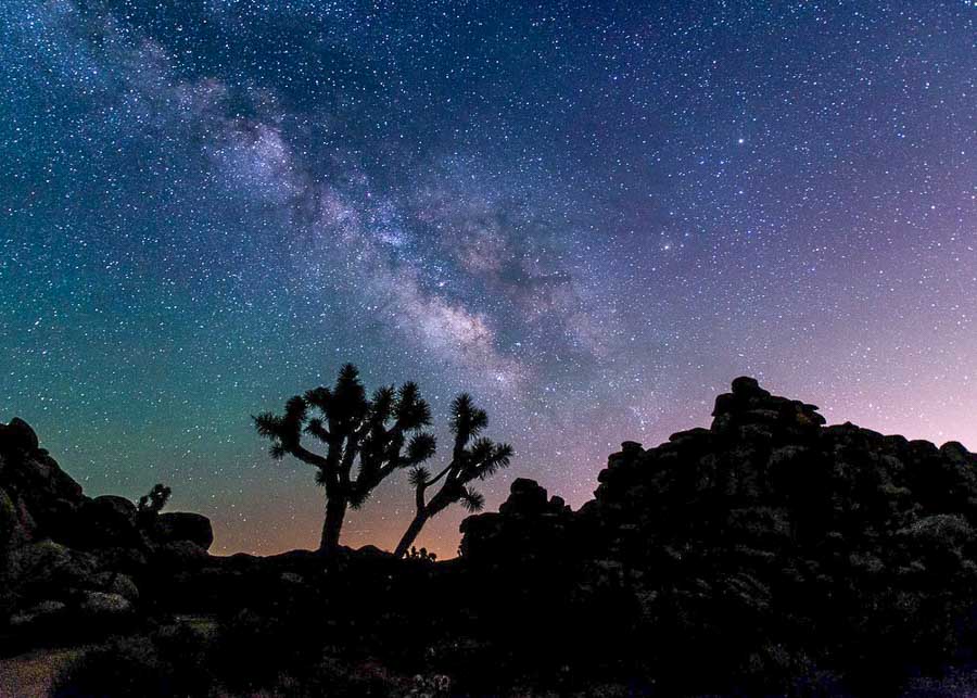 Joshua Tree National Park at night 