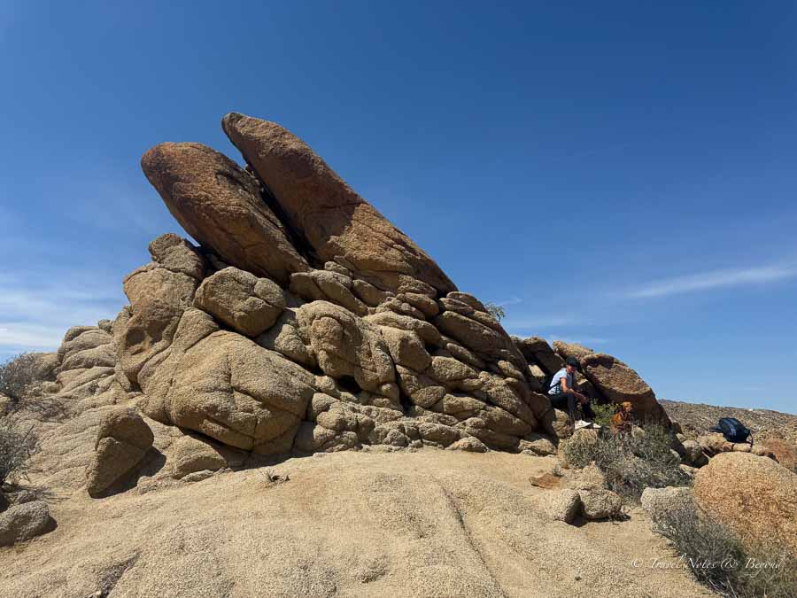 Rock climbing in Joshua Tree