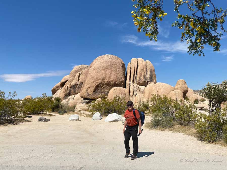 Image from Joshua Tree National park