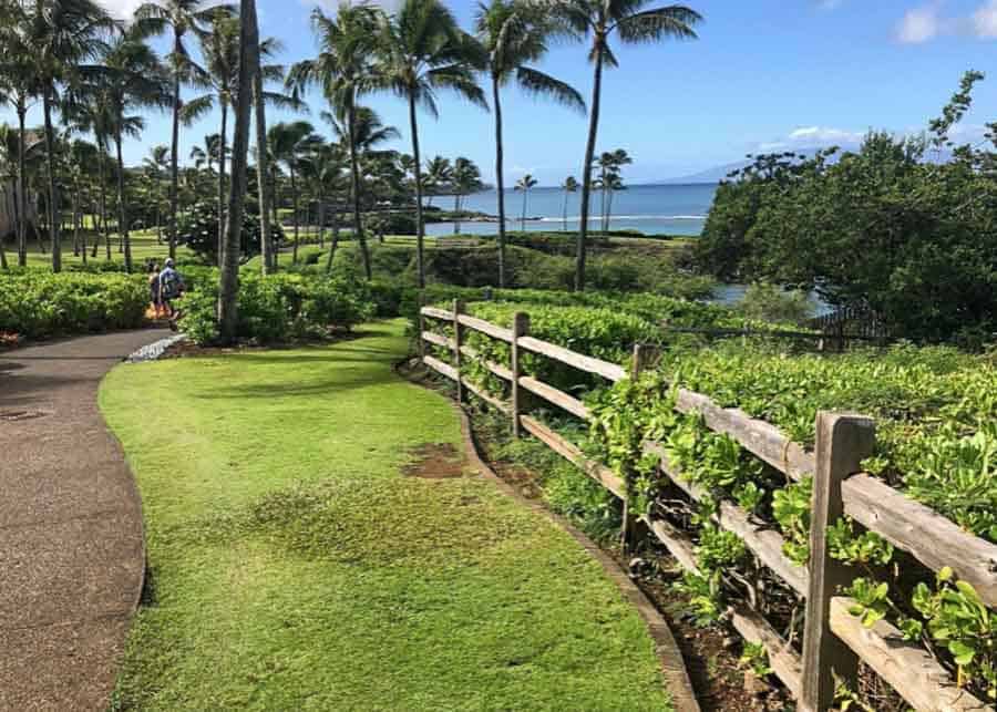 Broadwalk of Kapalua Coastal Trail