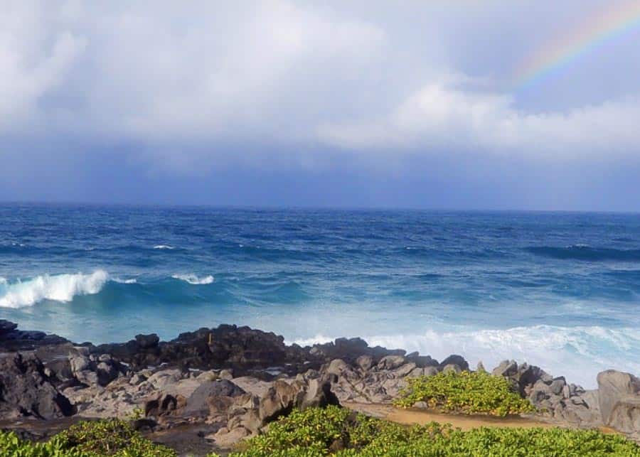 Kapalua Coastal Trail