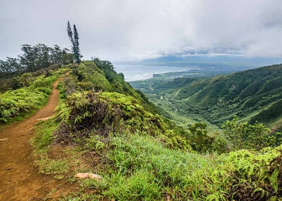 Views from the Waihee Ridge Trail