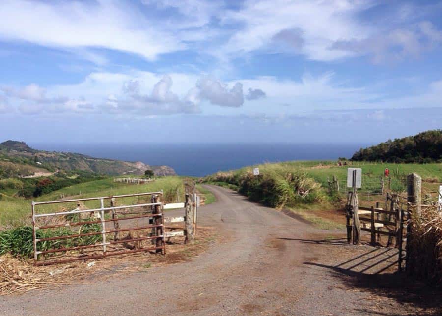 Entrance to the Waihee Ridge Trail