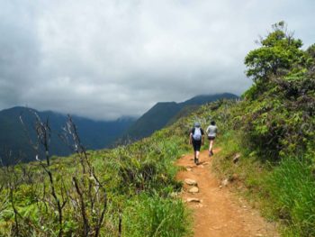 Hiking in Maui
