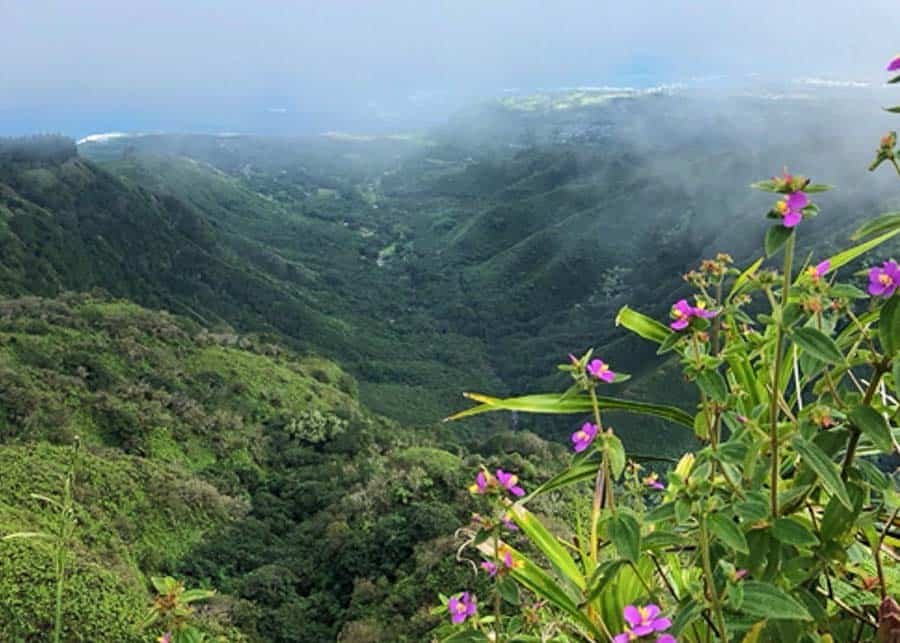 View from the Waihee Ridge Trail in Maui