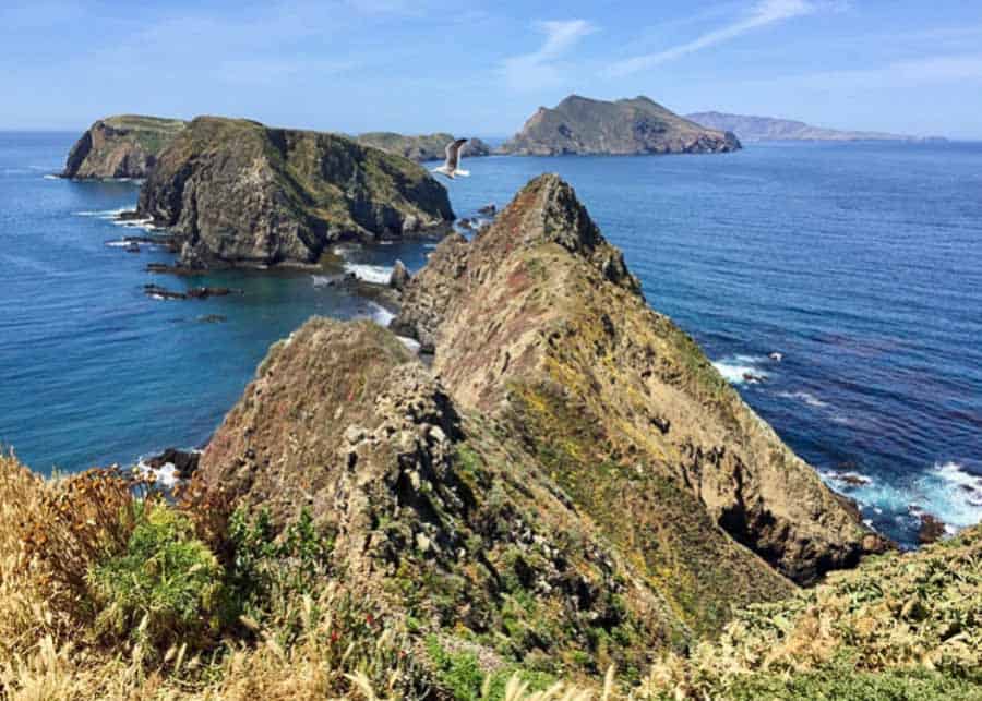 Aerial view of the Channel Islands