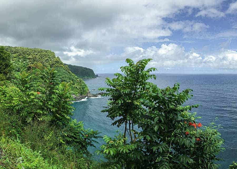 Landscape on the Road to Hana in Maui