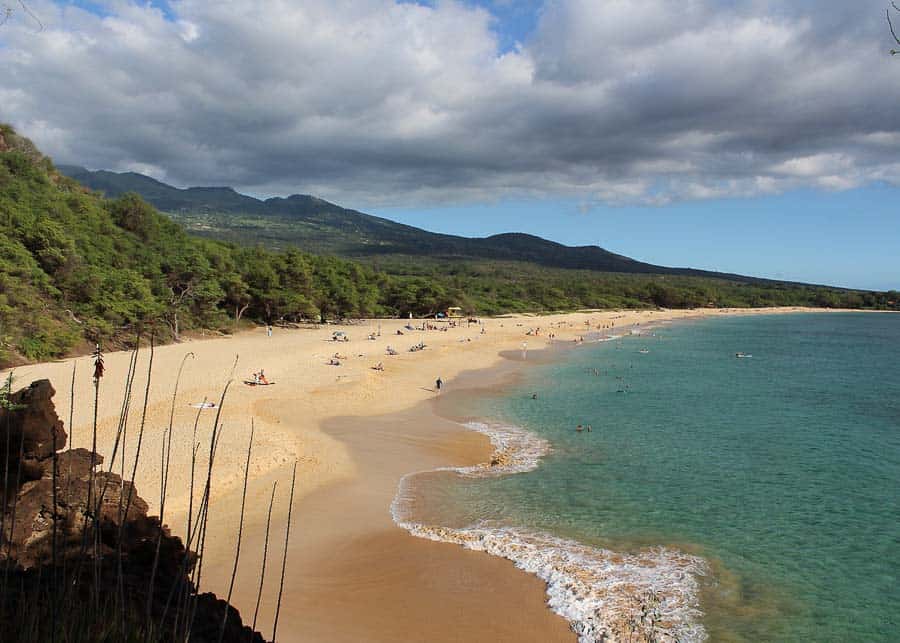 beaches in maui vs the big island