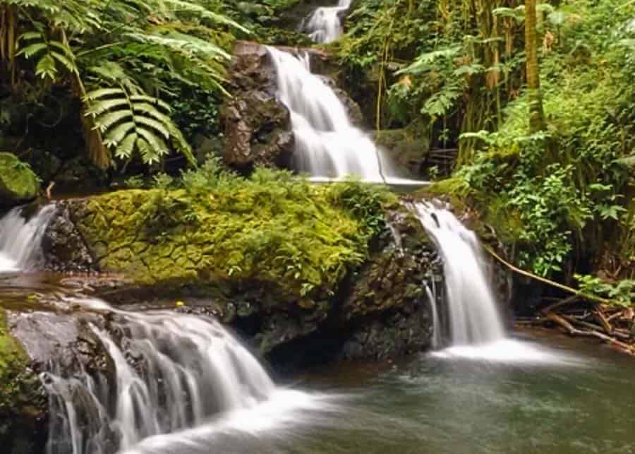 Onomea Waterfalls on the Big Island