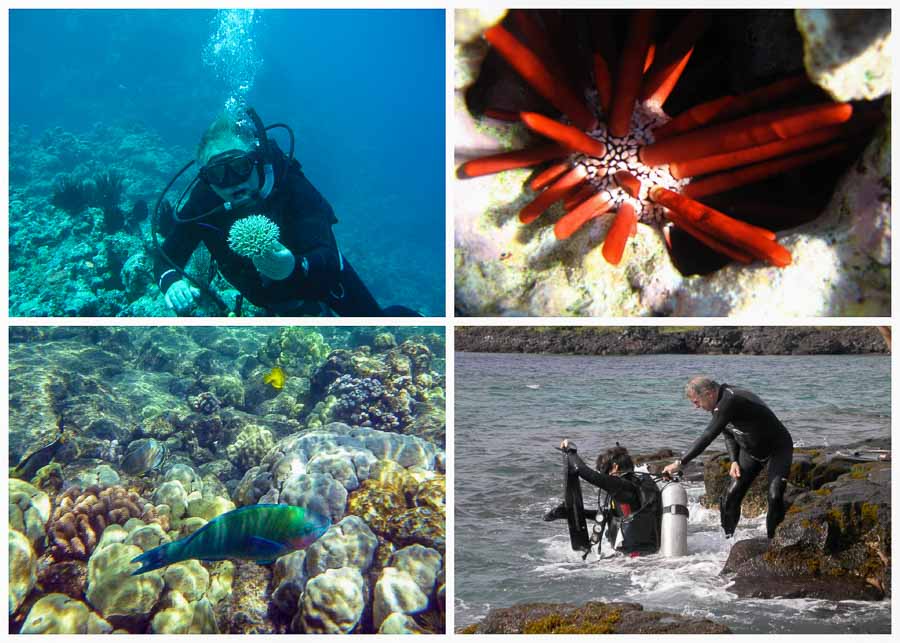 Scuba diving at Two Steps on the Big Island