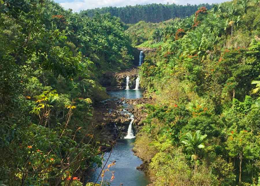 View of the Umauma waterfalls in Hawaii's Big Island