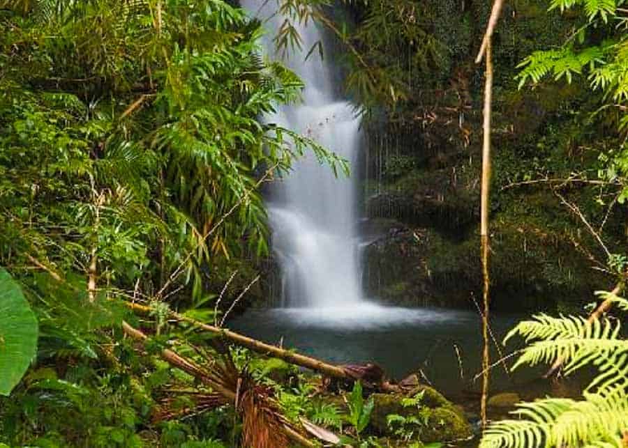 waterfalls on the Big Island