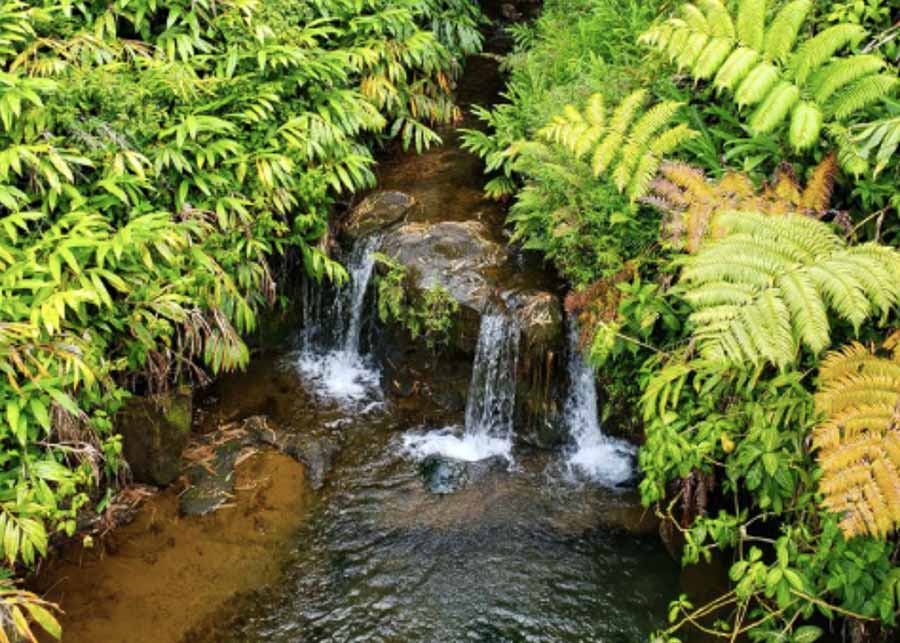 Beautiful waterfalls on Hawaii's Big Island