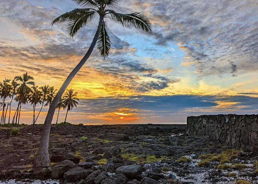 Maui vs the Big Island landscape