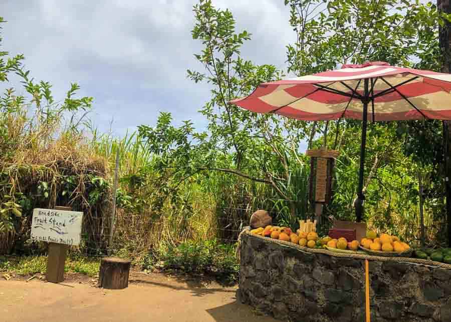 fruit stand in Maui