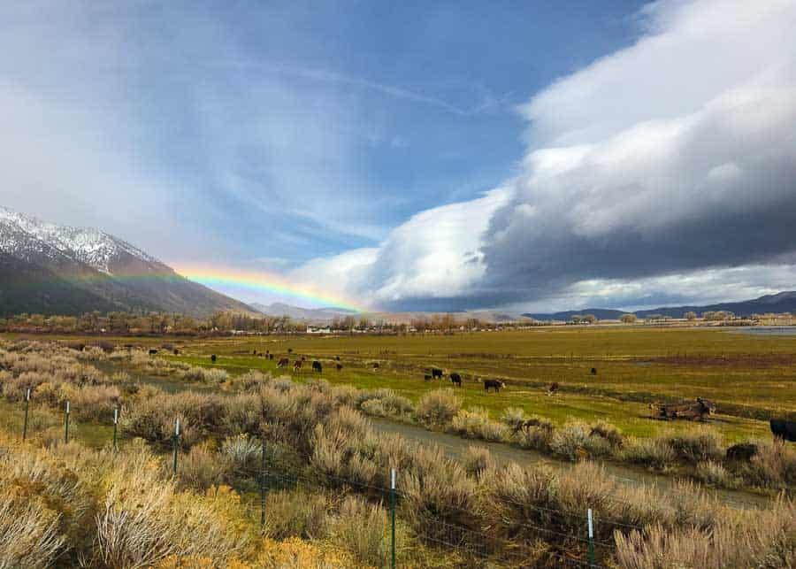 View of Carson Valley in Winter