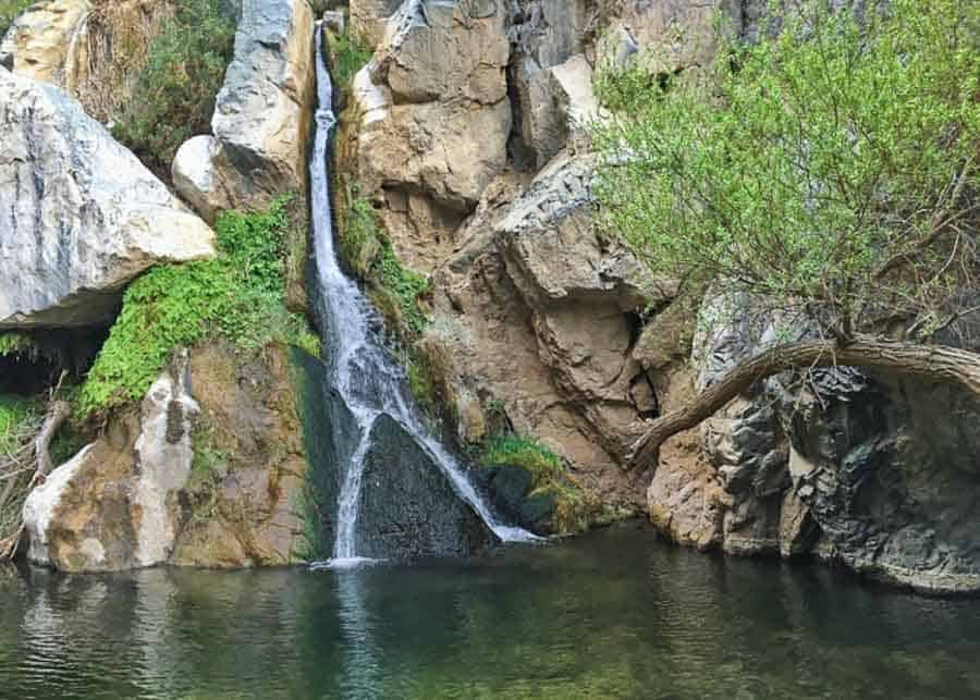 Darwin's Falls, on the drive to Death Valley