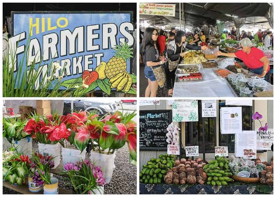 roaming through the Farmers' market on the Big Island of Hawaii