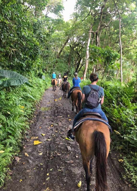 Horseback riding in Wapiti'o Valley on the Big Island