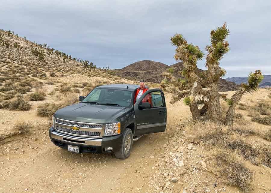 Driving through the Joshua Tree Forest in Death Valley