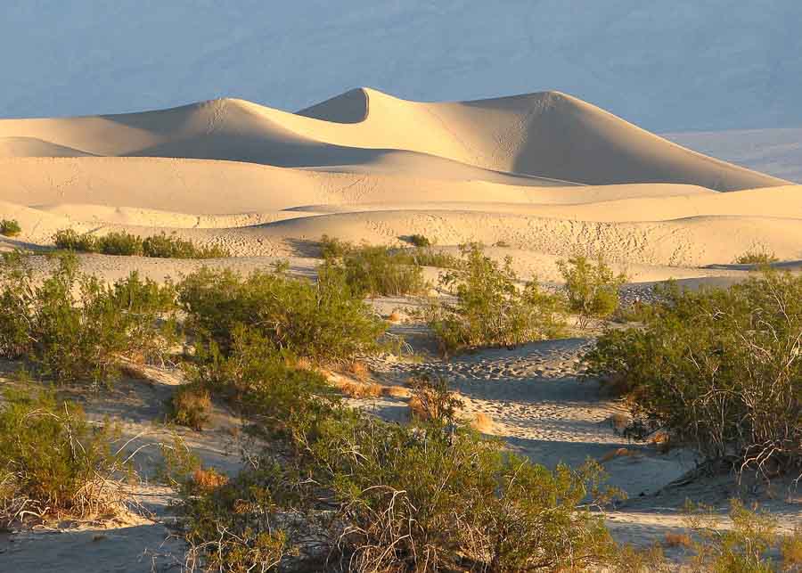 Mesquite Sand Dunes