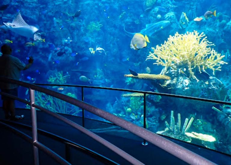 Best Places to Visit in Los Angeles – 20 Unmissable Attractions