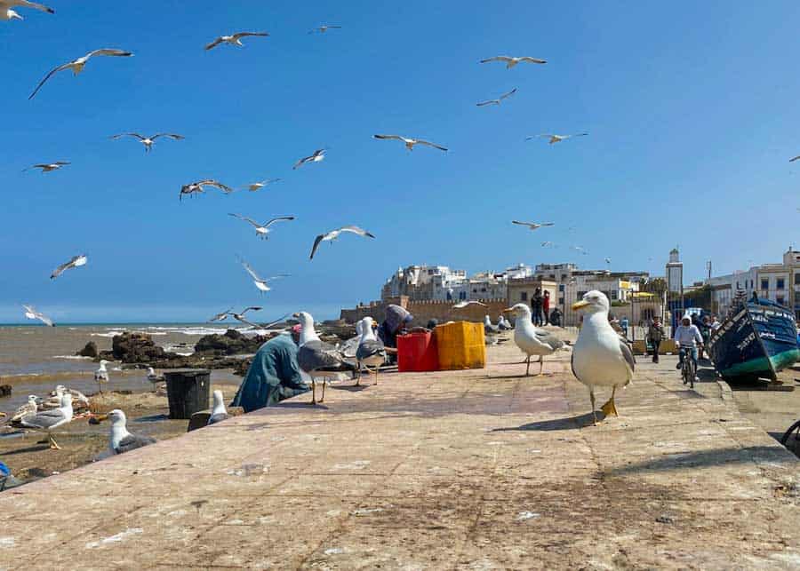 Fishing pier in Essaouira