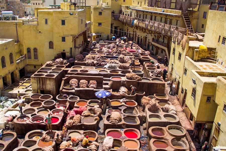visiting the tannery in Fes, Morocco
