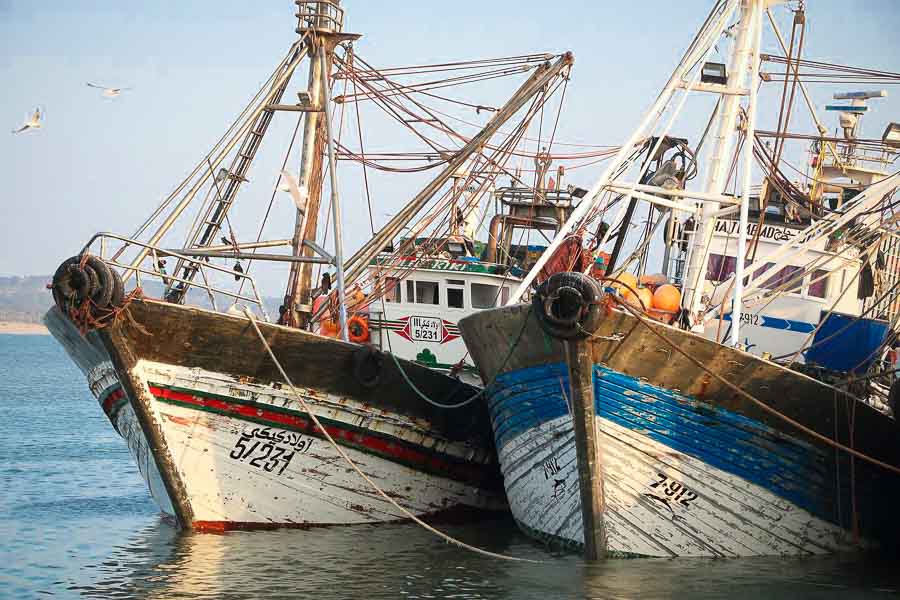 Boats in the port of Essaouira