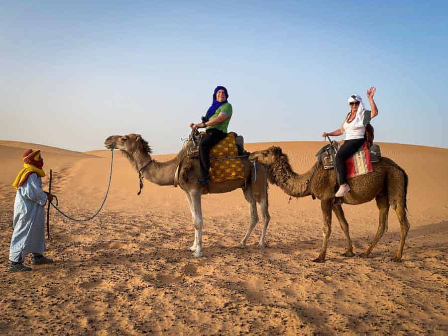 riding camels in Morocco