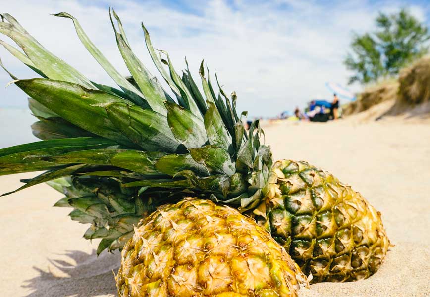 buying pineapple as souvenirs from hawaii